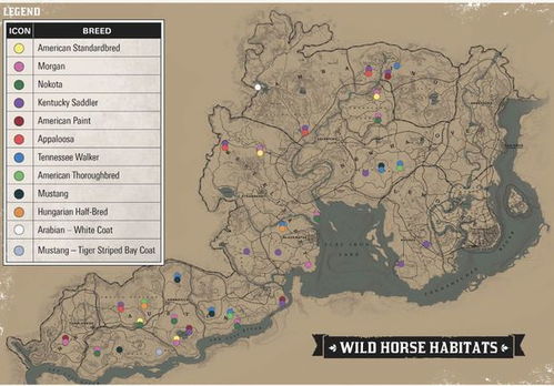 Crimson Desert 研究所全收集指南，高效探索路线