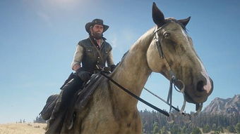 野外坐骑全掌握，Crimson Desert驯马指南