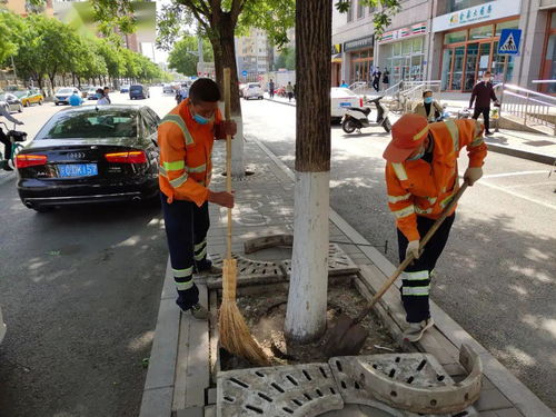 揭秘环卫工毛巾擦树事件，官方回应背后的深层逻辑