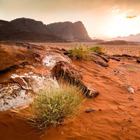 红色沙漠首日补丁上线，修复bug与新增教程任务