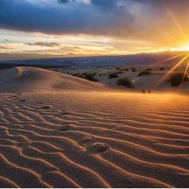 红色沙漠高管回应操作争议，像骑自行车一样学会自然