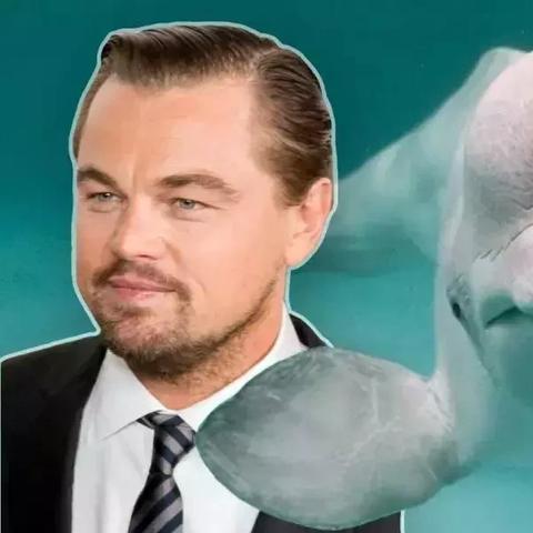 解救莱昂画不出来？教你三招通关绝技与隐藏画法