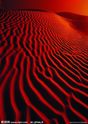 红色沙漠首日补丁上线，修复Bug并新增教程任务