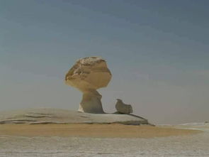 Crimson Desert Boss Guide: How to Beat Grave Walker