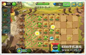 植物大战僵尸4下载，全网寻找的隐藏版与安装避坑指南