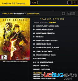 生化危机5中文版怎么去马赛克？联机黑屏修复与修改器实战指南