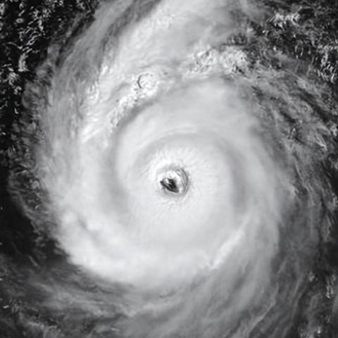 揭秘天灾杀手，元气骑士刺客神级配装与实战技巧