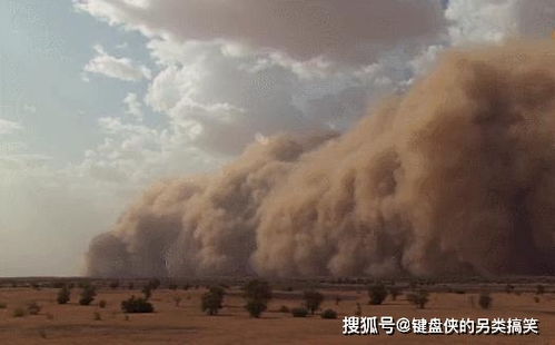 红色沙漠失败内幕，高层独断遭员工爆料