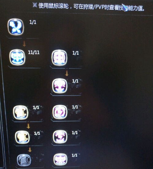 拒绝无效加点！龙之谷十字军双修与纯辅保姆级教学