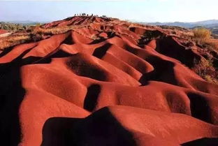 《红色沙漠》又遭批评  隐瞒使用AI创作画作