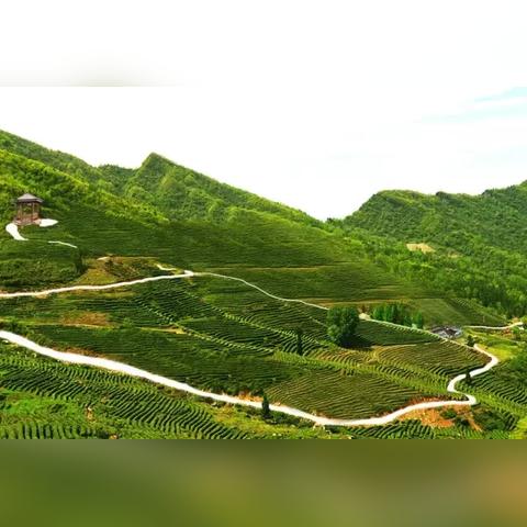 《天下3》忘 川 惊 变