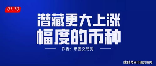 揭秘24周年庆隐藏玩法,不仅是情怀,更是一场经济博弈 揭秘24周年庆隐藏玩法,不仅是情怀,更是一场经济博弈
