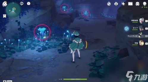 原神钩钩果哪里刷最快?希格雯克洛琳德突破采集路线全攻略 原神钩钩果哪里刷最快?希格雯克洛琳德突破采集路线全攻略