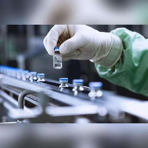 原始杀戮类型怎么选？掠夺者与猎人深度对比及实战攻略