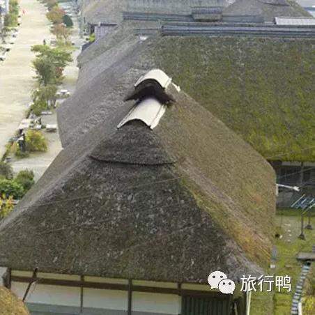 逆战,未来S2,樱之城近战武器强度攻略,PVP优化指南 逆战,未来S2,樱之城近战武器强度攻略,PVP优化指南