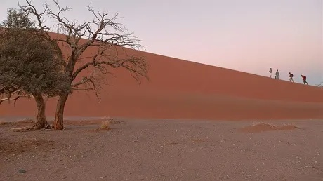 红色沙漠口碑逆转，是渐入佳境还是公认烂作？参与有奖锐评