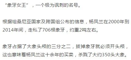 拒绝坐牢!诺赫西纳训练所莱茵生命全流派实战教学 拒绝坐牢!诺赫西纳训练所莱茵生命全流派实战教学