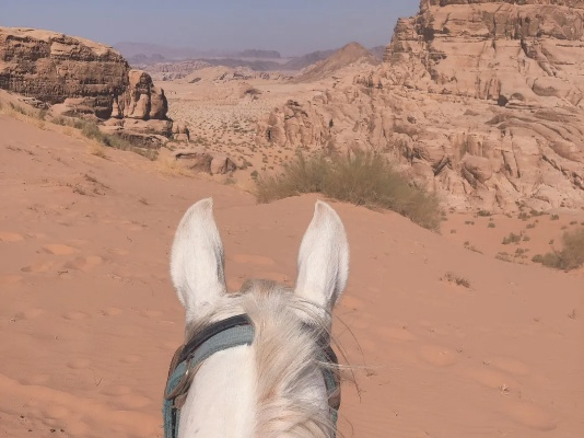 Crimson Desert: Legendary Horse Locations Guide