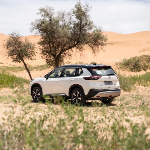 红色沙漠成人Mod上线，首个大尺度内容发布