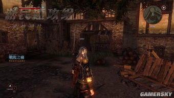 巫师2国王刺客最强攻略，新手必看的剑舞流加点与炼金术