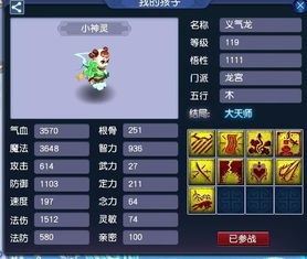 梦幻西游King总类型全解析,高端老板配置与指挥实战技巧 梦幻西游King总类型全解析,高端老板配置与指挥实战技巧