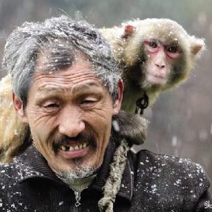 黑神话悟空终极神石怎么配?这几款T0级神石千万别错过 黑神话悟空终极神石怎么配?这几款T0级神石千万别错过