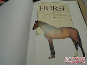 Elantrima Horse获取指南,Crimson Desert必备坐骑 Elantrima Horse获取指南,Crimson Desert必备坐骑