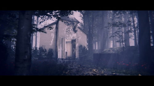 Project Songbird生存指南，在悬疑世界揭开阴影