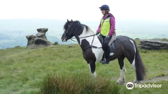 如何获取布里安托马匹，Crimson Desert指南