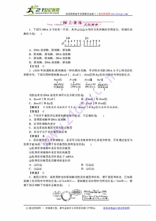 IS-4线路终极答案，末代重坦能否超越279工程？