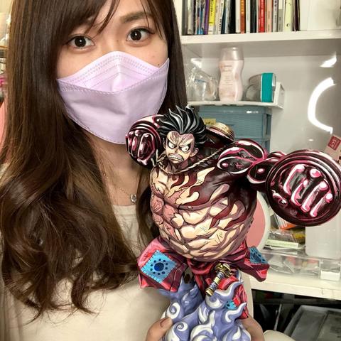 海贼王娜美同人志类型剖析，创作风格与粉丝文化趋势