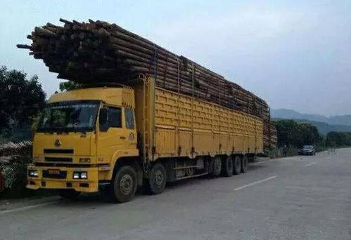 30年校园传闻成真，Pokémon Pokopia玩家在卡车下找到Mew