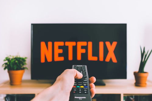 Netflix再次提高订阅价格 Netflix再次提高订阅价格