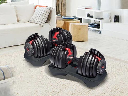 Bowflex SelectTech哑铃春季大促,超50%折扣限时抢购 Bowflex SelectTech哑铃春季大促,超50%折扣限时抢购