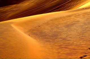 圣诞前别碰红色沙漠，最佳时机解析