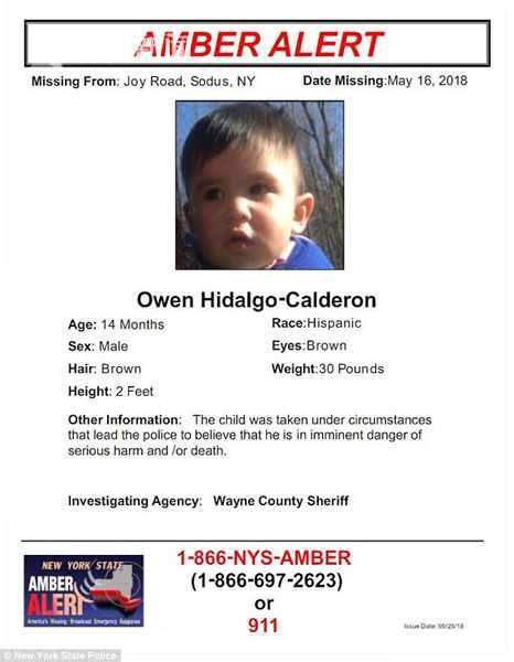 Crime Scene Cleaner第二幕，琥珀警报任务通关指南