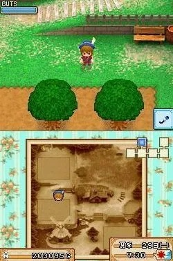 牧场物语风之集市致富秘籍，斗牛必胜与结婚全攻略