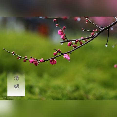 愚人节游戏公告也能不负玩家期待 愚人节游戏公告也能不负玩家期待