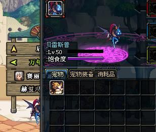 DNF贝雷斯宠物还值得升级吗？2026年属性实测与进阶攻略