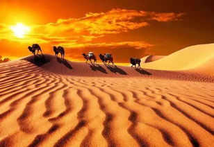 圣诞节玩红色沙漠,为何最佳时机是现在 圣诞节玩红色沙漠,为何最佳时机是现在