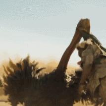 红色沙漠女NPC身材引热议，玩家盛赞角色设计