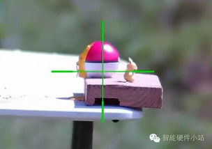 百变怪脸型稀有装饰品现身Pokemon Pokopia 百变怪脸型稀有装饰品现身Pokemon Pokopia