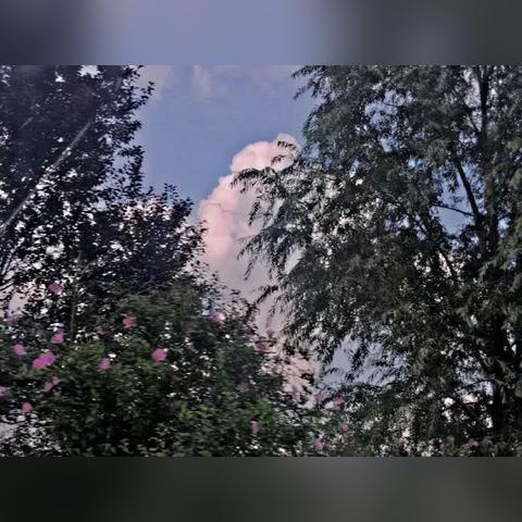 完成《Life Is Strange: Reunion》需要多长时间? 完成《Life Is Strange: Reunion》需要多长时间?