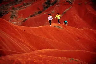 你应该等到圣诞节再玩红色沙漠