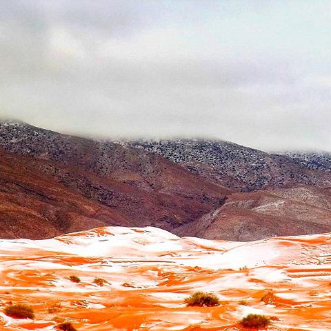 红色沙漠叙事短板获开发商正视，玩家期待改进