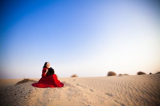 红色沙漠剧情叙事不足,开发商坦诚回应玩家关切 红色沙漠剧情叙事不足,开发商坦诚回应玩家关切