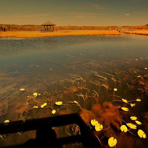 红色沙漠销量近500万，核心团队已转战多可比