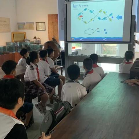 大航海时代,起源公测定档4月28日,启航你的冒险! 大航海时代,起源公测定档4月28日,启航你的冒险!