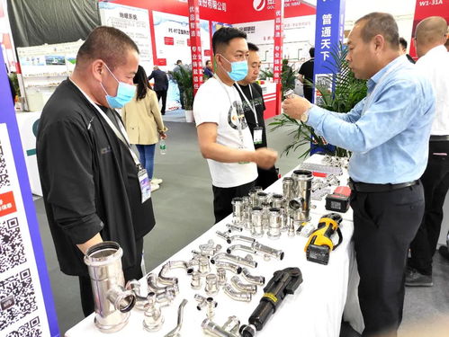 如何在红色沙漠中净化节制圣所