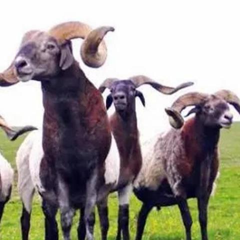 2026年DNF传说装备改版全解析，如何利用新版本传说快速起飞？